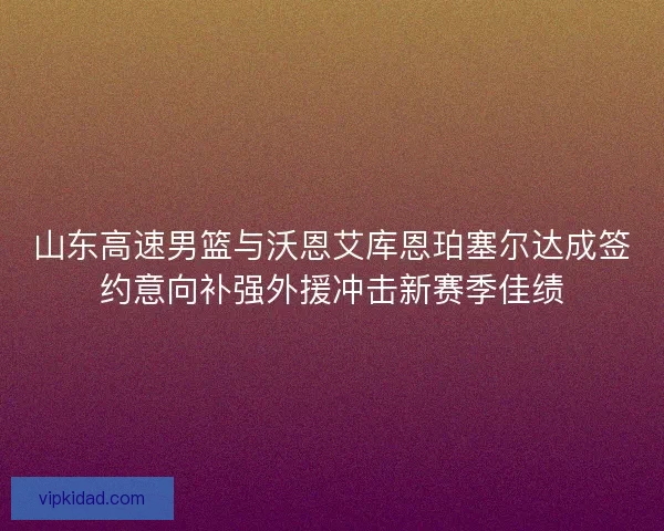 山东高速男篮与沃恩艾库恩珀塞尔达成签约意向补强外援冲击新赛季佳绩